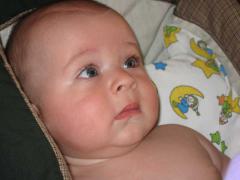 IMG_2546.jpg