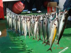 DSC01429.jpg