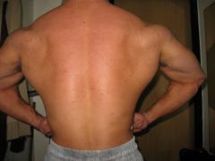 IMG_2542.jpg