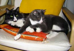DSC00317p.jpg