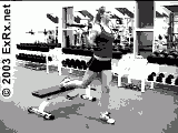 BBSingleLegSquat.gif