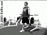 LVSingleLegSplitSquat.gif