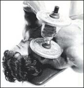 arnoldtriceps1.jpg