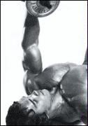 arnoldtriceps2.jpg