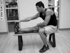 SeatedBenchSingleLeg.jpg