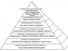 hierarchy000.jpg