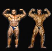Arnold_Classic_2004_106_3_.jpg