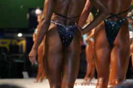 MS_O_1_038.sized.jpg