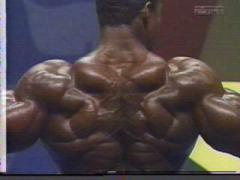 flex_wheeler13.jpg