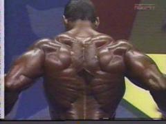 flex_wheeler12.jpg