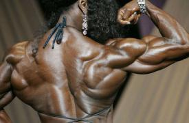 load_8_20_30719.jpg