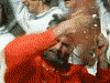 avator.gif