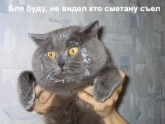 640_37457_1_.jpg