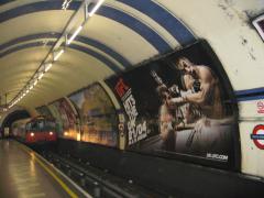 PicturesUFC70_160.jpg