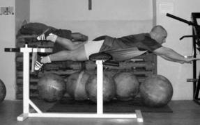 237new_1legextension2.jpg