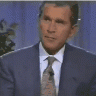 bushavslower96.gif