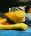 uploaded_monkey.gif