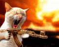 108422_51c8031143234f679c0c4.gif