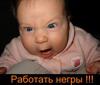 avk_20_174_.jpg