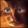 animals29file.jpg