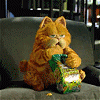 393.gif