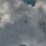 avatar4616_45.gif