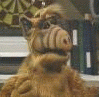 982a5e3d2d2656404b11d484cfda672d.gif