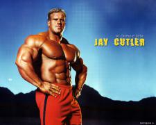 Jay3.jpg