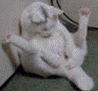 14140_prev_98.gif