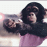 14830_prev_98.gif