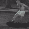 17067_prev_98.gif