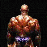 5.gif