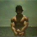 8.gif