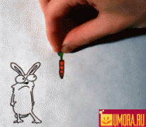 118193848881488.gif