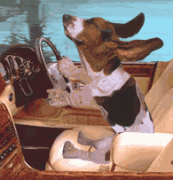 www_druzi_ru_669_0_20060423_3852.gif