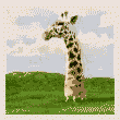 0017.gif