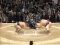 3_725.gif