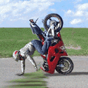 3_795.gif