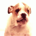 3_1280.gif