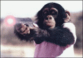3_1536.gif