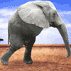 avatar_0503_mnis.ru.gif