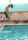 avatar_0937_mnis.ru.gif