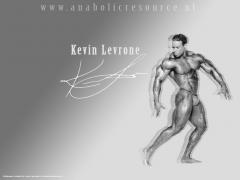 kevin1024ww8.jpg