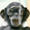 animatedfunhumourc9_20070518_1883799389.gif