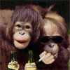 animatedfunhumournew26_20070526_1091202990.gif