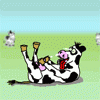 avatar_344.gif