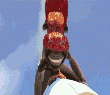 410.gif
