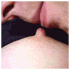 av_13241.gif