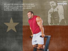 athbrwarrwallpaper31024nc0.jpg