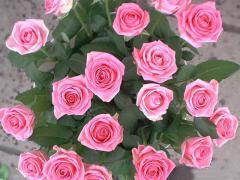 post_20_1186092505.jpg